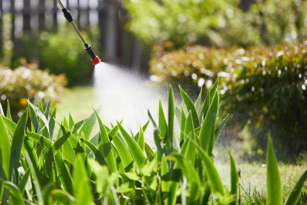 24/7 Emergency Mosquito Control experts in Clintondale, NY